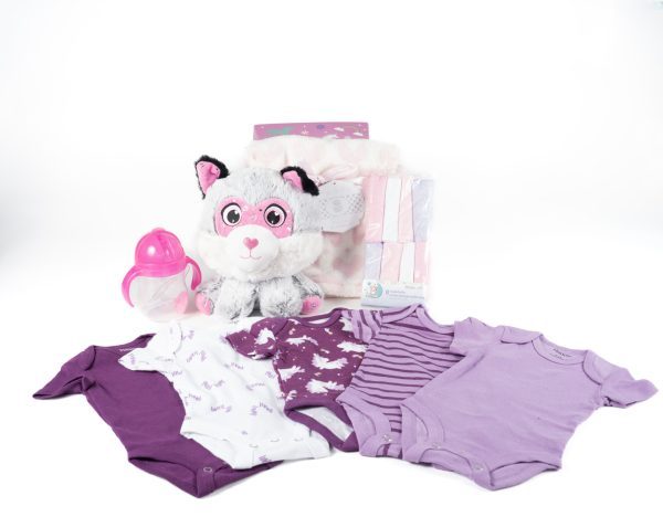 A collection of baby items, including a white and gray stuffed cat toy with pink details, a sippy cup with a pink lid, a folded pink and white blanket, and five baby onesies in various shades of purple and white. Perfect for bedtime or any cozy night—part of the Adult Gambling Night Basket.