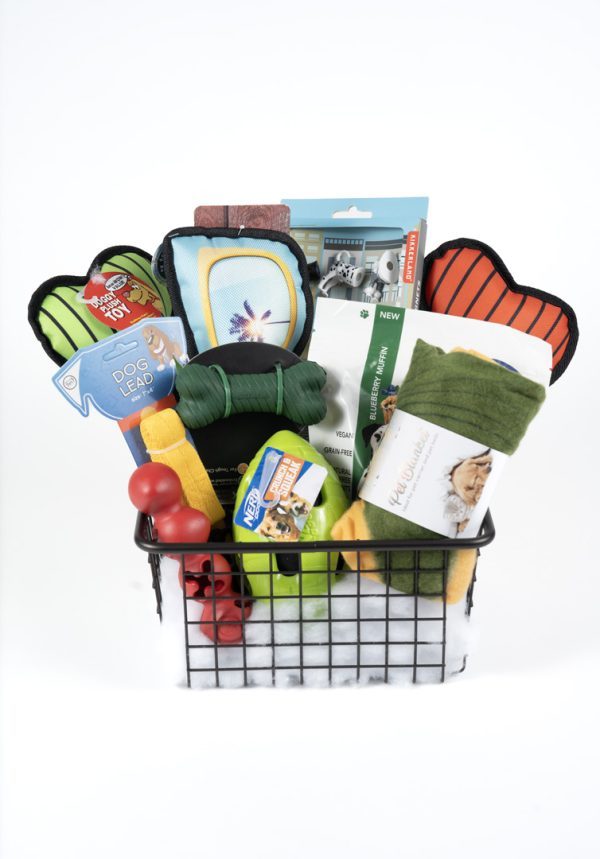 The Adult Gambling Night Basket contains an array of pet supplies, such as dog toys, a leash, waste bags, a grooming tool, a blanket, and other essentials—all vibrantly and neatly organized for your furry friend's care. Ideal for any adult pet owner to conveniently access day or night.