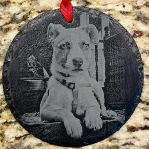 Pet Photo Ornament